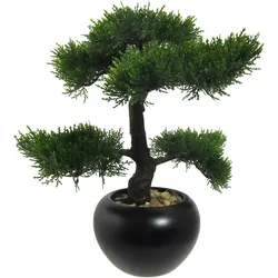 CREATIV green künstliche Pflanze Bonsai Zeder, ca 37cm