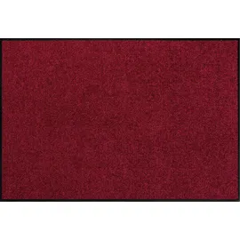 Erwin Müller Mainz 60 x 85 cm Rot