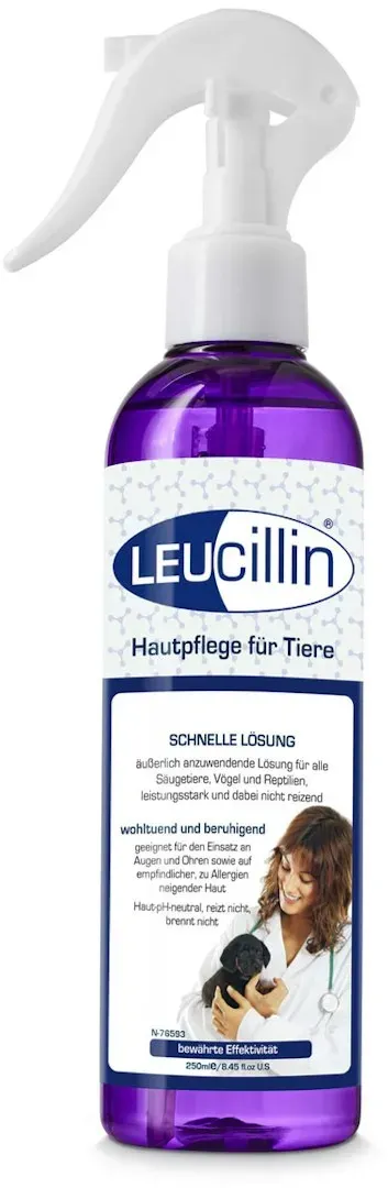 grau Leucillin Spray Nahrungsergänzung 250 Milliliter