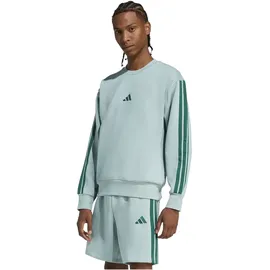 adidas Sweatshirt Wonder Sage/Collegiate Green XL