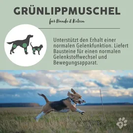 Paws & Patch Grünlippmuschel Pulver 250 g