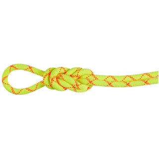 Mammut 9.5 Alpine Core Protect Dry Kletterseil (Größe 40M, gelb)