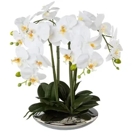 Gasper Unbekannt XL Orchidee weiß, im Silbertopf, 41 cm