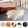 LUXOR LIVING Rinderfell Fellteppich 160 x 240 cm Beige/Braun