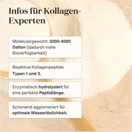 Glow25 Kollagen Pulver  Zimtkeks 450 g