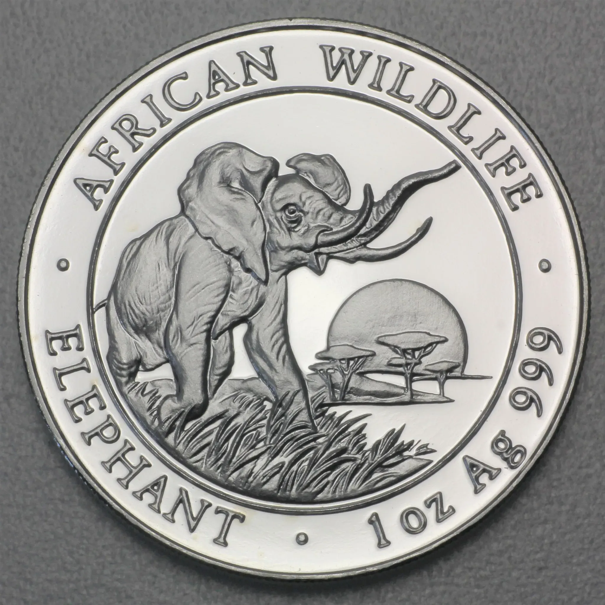 Silbermünze 1oz 