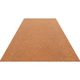 ADAMS GROUP Matratze 180x200 cm Prestige Sleep 7 Zonen H3 H4 Taschenfederkern Kokosmatte Höhe 23 cm