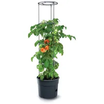 Spetebo Tomaten Pflanztopf rund mit Rankhilfe 153 x 29 cm Schwarz