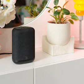 BLUESOUND Pulse Flex schwarz