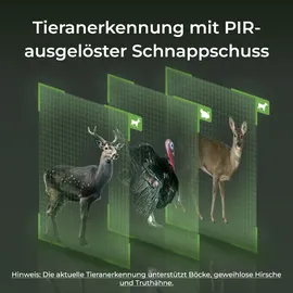 Reolink Wildkamera 4K 8MP Überwachungskameras 3G/4G LTE mit 360o Rundumsicht,No-Glow,Tiererkennung, 355°/90° Schwenk,Bewegungsmelder,2-Weg-Audio