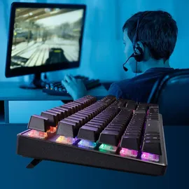 EAXUS Eaxus® Mechanische Gaming Tastatur - LED Gaming Keyboard mit Makrotasten & Blue Switches, USB 1000 Hz Pollingrate, QWERTZ, Schwarz