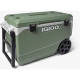 Igloo Kühlbox l