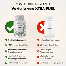 xtra fuel Shilajit Kapseln Original Himalaya Mumijo 1000 mg 3 x 200 St.