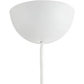 GUBI Semi (004-02102)