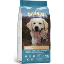 DIVINUS Adult 20 kg