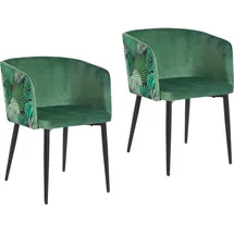 Hti-Living Stuhl Destin 2er-Set