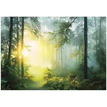 WallArena Fototapete Wald in Grün | Gr.: 250 x 175 cm
