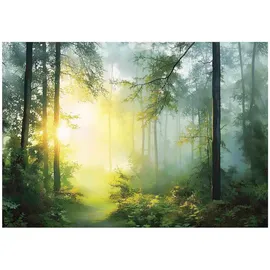 WallArena Fototapete Wald in Grün | Gr.: 250 x 175 cm