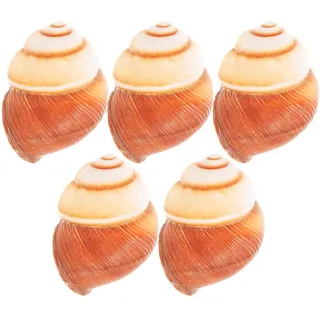 Milisten 5 Stück Natürliche Schneckenhäuser Für Schnecken Leere Riesenschneckenschnecken Große Schneckenhäuser Für Einsiedlerkrebse Zum Backen Im Haushalt Im Französischen
