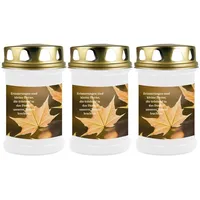 HS Candle Grabkerze GK-04210 (3-tlg), Grabkerze Brenndauer 48 Stunden mit Motiven