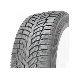 Doublestar Winterking DW08 225/55 R17 97T