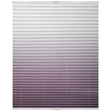 Lichtblick Plissee Klemmfix Farbverlauf