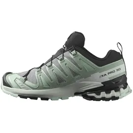 Salomon XA Pro 3D V9 GTX Damen Quiet Shade/Lily Pad/Blue Haze 40 2/3