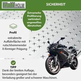 Trutzholm Auffahrrampe 400 kg