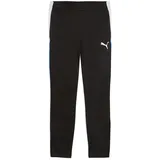 Puma IndividualLIGA Jogginghose Schwarz M