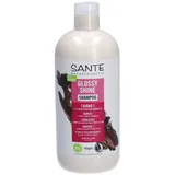 Sante Glossy Shine Shampoo 500ml