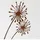 muchome Gartenstecker Pusteblume 75 cm Naturrost