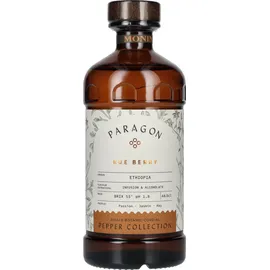 Monin Rue Berry - Monin Paragon Cordial (48,5cl)