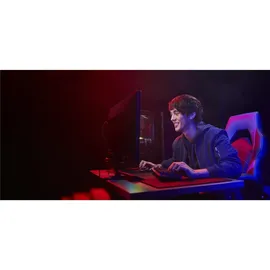 Kingston FURY Beast DDR5 5600MT/s 64GB Kit (2x32GB) CL36 Schwarz KF556C36BBEK2-64