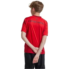 adidas FC Bayern München 24/25 Heimtrikot Kids Red 128