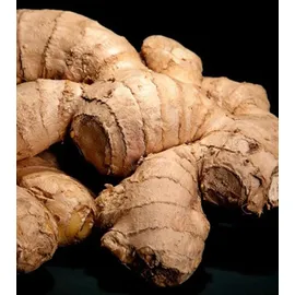 YODEYMA Résolu Eau de Parfum 100 ml