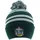 HARRY POTTER Beanie Pom-House Slytherin Grün/Silber