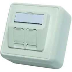 1St. Modul-Aufnahme aufbauend 80x80mm, 2-fach AP alpinweiss