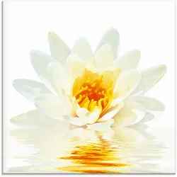 Glasbild ARTLAND "Lotusblume schwimmt im Wasser", weiß (farbe bild(er): weiß), B:30cm H:30cm, Bilder, in verschiedenen Größen