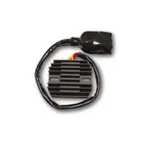 ElectroSport Laderegler ESR 438