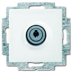 SCHUKO® Steckdosen-Einsatz mit Klappdeckel und Schloss, versch. schließend (alpinweiß)