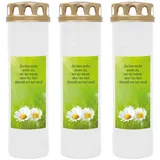HS Candle Grabkerze Grablicht - 3er Pack - mit Motiv (Gänseblümchen) - ca 170h / 7 Tage Brenndauer je Kerze (26cm, Ø 7cm) - viele versch. Designs