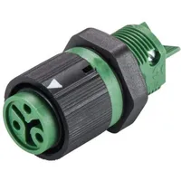 Wieland 46.031.5055.7 Rundstecker Buchse, Einbau Gesamtpolzahl: 2 + PE