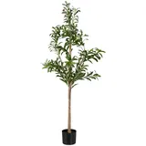 Relaxdays Olivenbaum 150 cm,