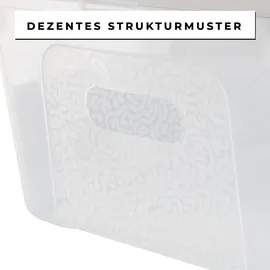 Centi 2er Set Aufbewahrungsboxen mit Deckel Plastikbox 5L transparent mit Griffen