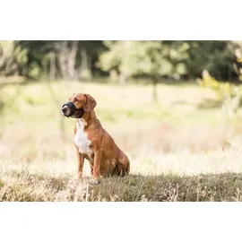 Trixie Maulkorb mit Netzeinsatz,