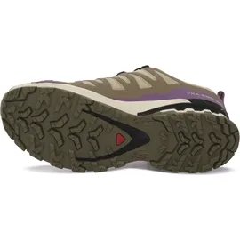 Salomon XA Pro 3D V9 GTX Damen Bog/Aloe/Concord Grape 39 1/3