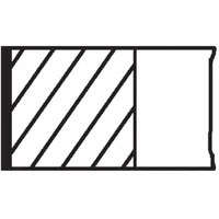 Mahle 011 RS 10100 0N0