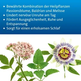 Hevert-Arzneimittel Valeriana Hevert Beruhigungsdragees