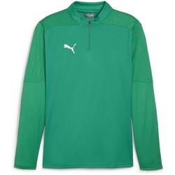 PUMA teamFINAL 1/4-Zip Trainings-Top Herren 05 - sport green/puma silver S