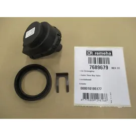 Remeha Motor 3 Wegge Mischer 7689679